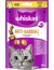 whiskas Anti-Hairball