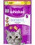 whiskas DENTABITES