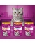 whiskas DENTABITES