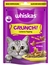 whiskas CRUNCH