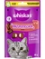 whiskas Knuspertaschen