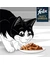 FELIX Tasty Shreds Vielfalt