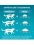 Purina ONE Bifensis Senior 11+
