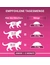 Purina ONE Bifensis Junior