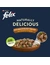 FELIX Naturally Delicious