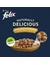 FELIX Naturally Delicious