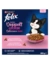 FELIX Doppelt Lecker Junior