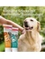 beaphar Multi Vitamin-Paste für Hunde