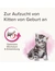 beaphar Lactol Aufzucht-Milch für Katzen