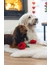beeztees Hundespielzeug