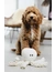 beeztees Hundespielzeug