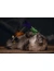 beeztees Halloween Katzenangeln Freaky