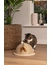 Designed by Lotte Halber Kratzball Vivi