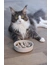 Designed by Lotte Anti-Schling-Napf Pom für Katzen