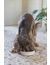 Designed by Lotte Anti-Schling-Napf Pom für Hunde