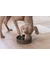 Designed by Lotte Anti-Schling-Napf Pom für Hunde