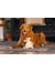 beeztees Hundespielzeug Eco