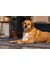 beeztees Kuscheltuch Eco