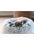 beeztees Orthopädisches Katzenbett Siba