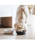 District 70 BAMBOO Dog Bowl