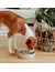 District 70 BAMBOO Dog Slow Feeder