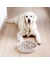 District 70 BAMBOO Dog Slow Feeder