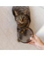 District 70 Glas Napf Dawn für Katzen