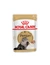 ROYAL CANIN Persian Adult Loaf
