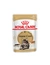 ROYAL CANIN Maine Coon Adult Gravy