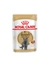 ROYAL CANIN British Shorthair Adult Gravy