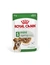 ROYAL CANIN Mini Ageing 12+ Gravy