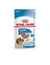 ROYAL CANIN Medium Puppy Gravy