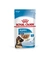 ROYAL CANIN Maxi Puppy Gravy