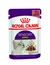 ROYAL CANIN Sensory Smell Gravy