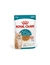 ROYAL CANIN FHN Ageing 15+ Gravy