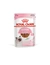 ROYAL CANIN Kitten Gravy