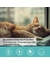 TAMACAN Cannabidiol / CBD Isolat für Katzen