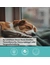 TAMACAN Cannabidiol / CBD Öl für Hunde