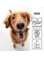 entoVITAL Insektenschleckpaste für Hunde