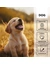 entoVITAL Vitamine Schleckpaste Puppy