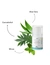 TAMACAN Cannabidiol / CBD Dental Gel für Hunde