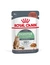 ROYAL CANIN Digestive Care Gravy