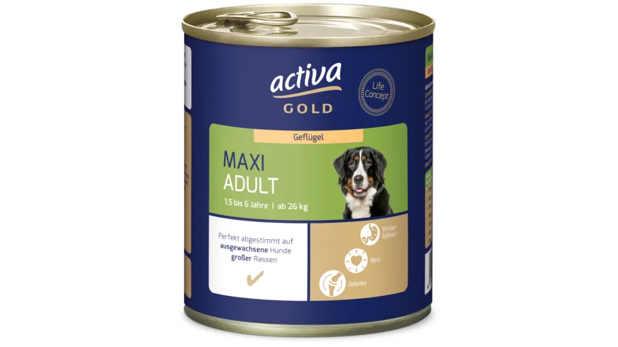 activa GOLD Maxi Adult