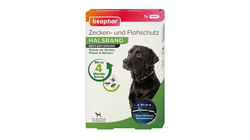 barf hundefutter BARF Probierpaket für Hunde main image 0