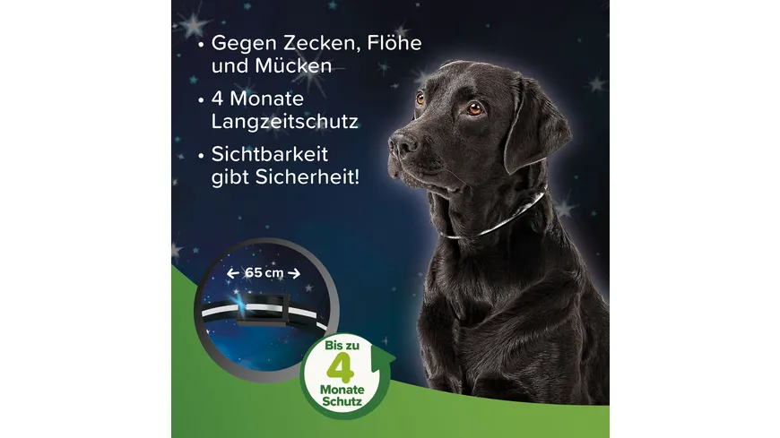 beaphar Zecken- und Flohschutz Halsband reflektierend fr Hunde | DAS  FUTTERHAUS
