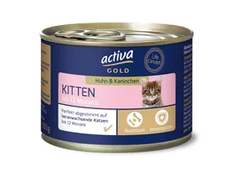 activa GOLD Kitten