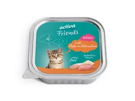 activa Friends Kitten