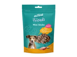 activa Friends Mini Sticks