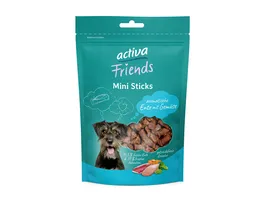 activa Friends Mini Sticks