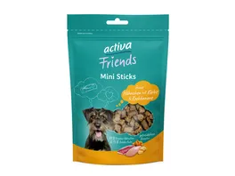 activa Friends Mini Sticks